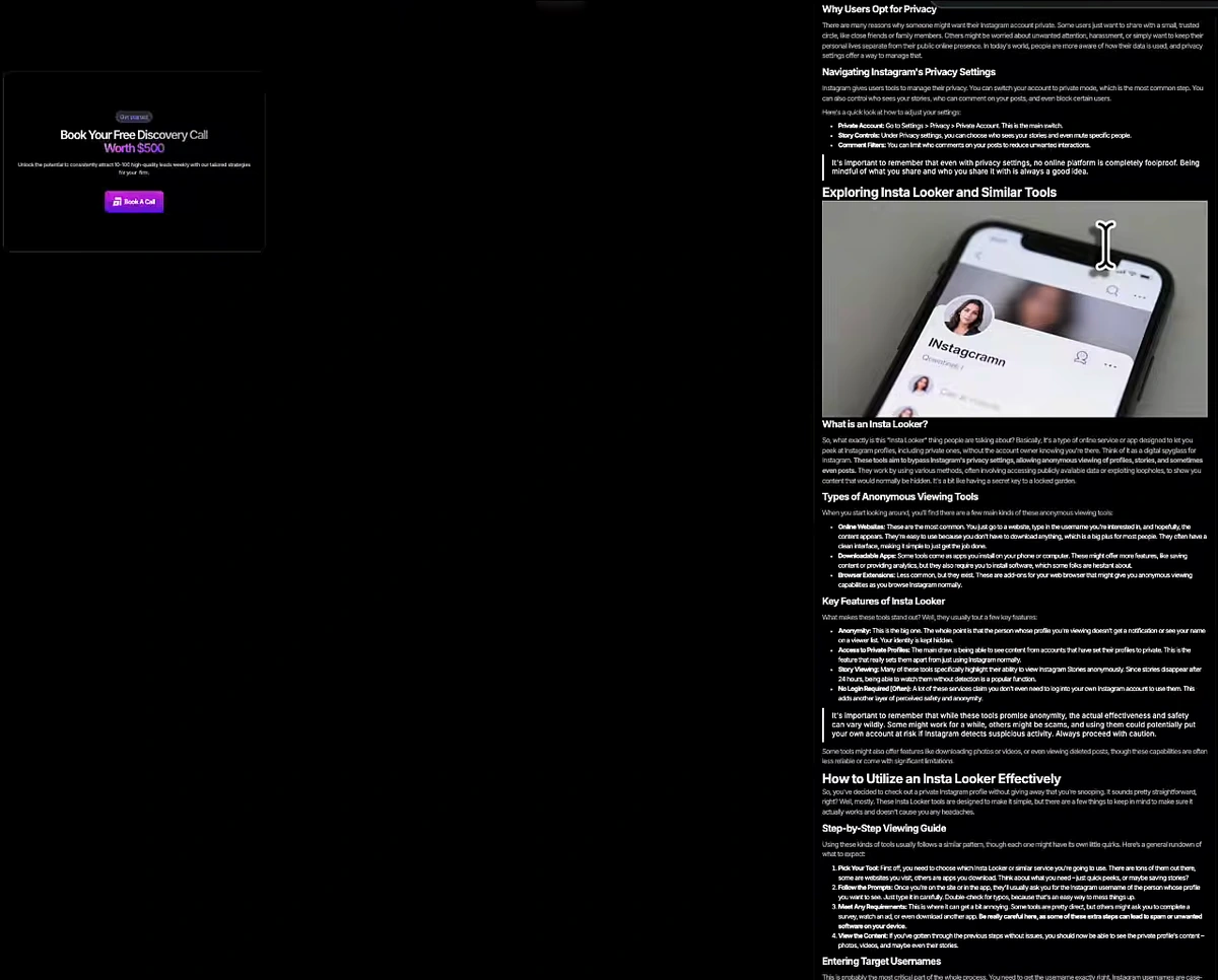 One of the agency's blog posts, about Insta Looker anonymous Instagram viewers, with headings, a phone image, bullet lists and a sticky Book Your Free Discovery Call Worth $500 card in the sidebar