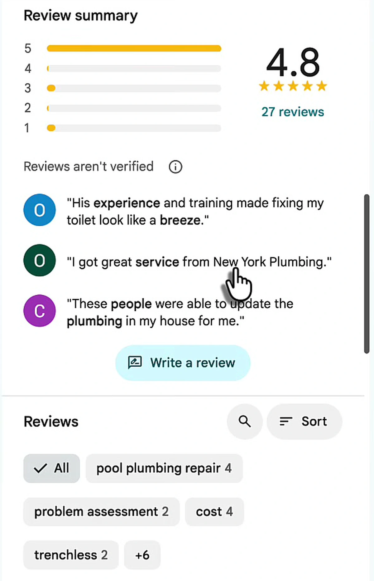 Google Maps review summary panel showing a 4.8 rating from 27 reviews with topic filter chips for pool plumbing repair, problem assessment, cost and trenchless